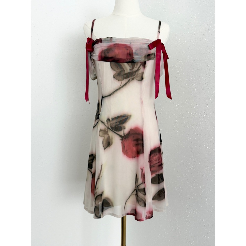 Kimchi Blue Floral Rose Mesh Mini Dress Red Bow Fairy Romantic NWT M